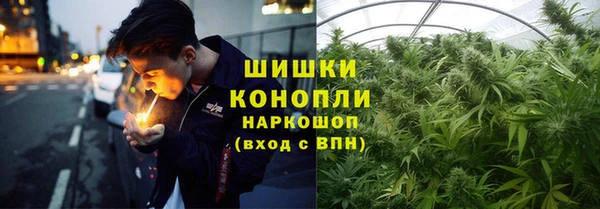 винт Алзамай