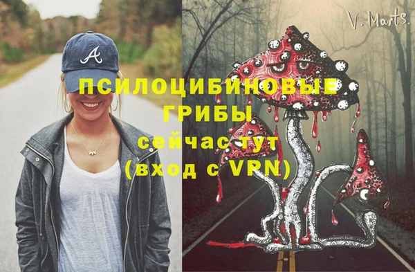 винт Алзамай