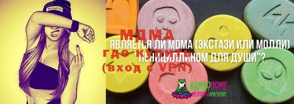 индика Алексеевка