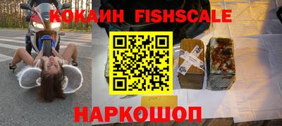 a pvp Камышлов