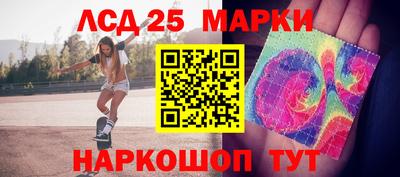 a pvp Камышлов