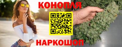 a pvp Камышлов