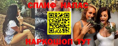 a pvp Камышлов