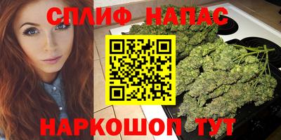 a pvp Камышлов