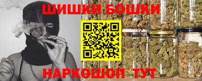 a pvp Камышлов