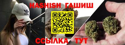 a pvp Камышлов