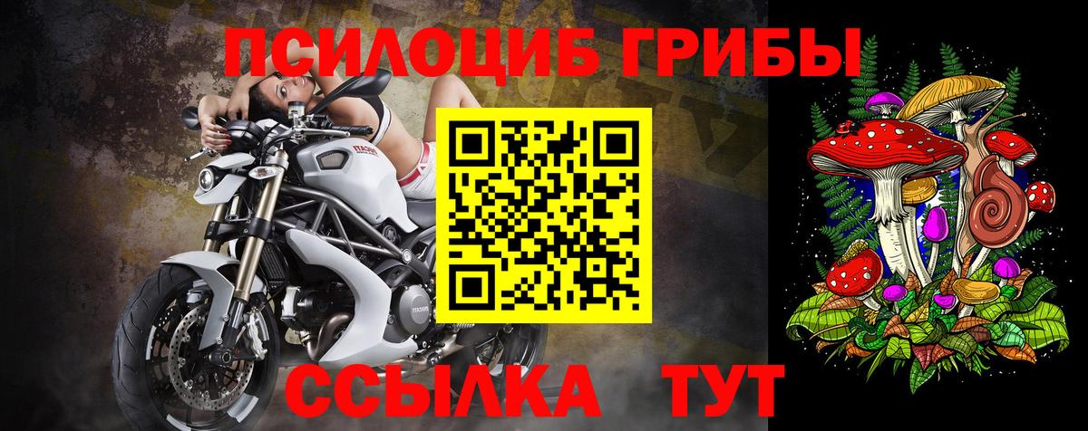 Пенза  Галлюциногенные грибы мицелий  Псилоцибиновые грибы Psilocybe  Вход с VPN 