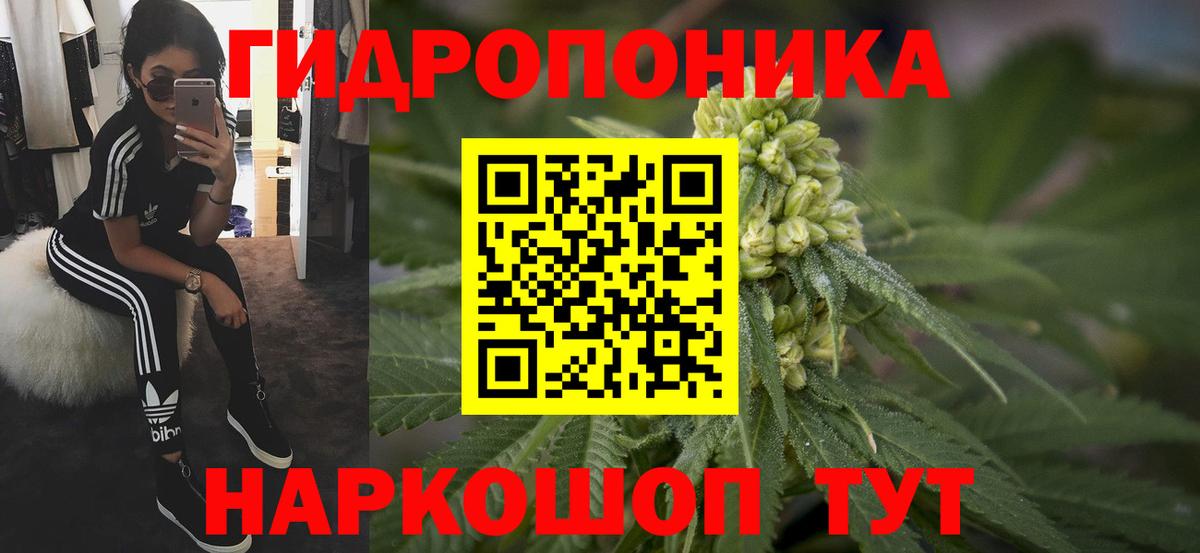МАРИХУАНА планчик  Канабис Amnesia  Вход с VPN  Пенза  Марихуана план 
